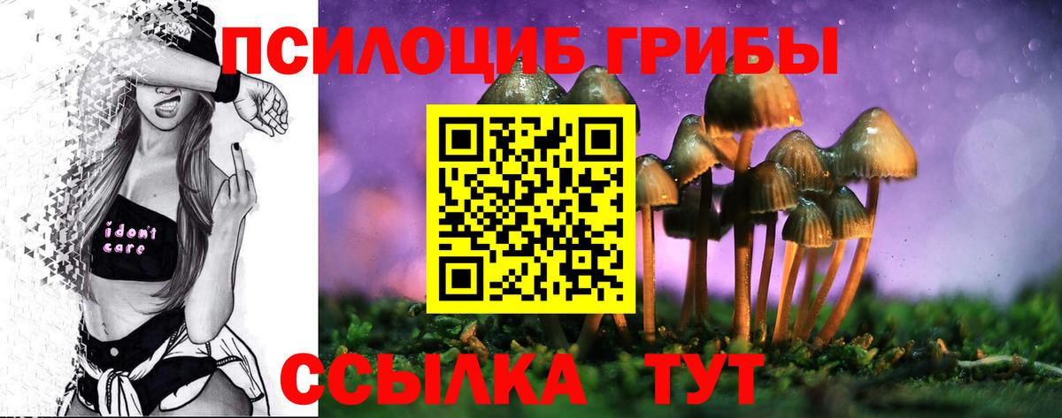 Галлюциногенные грибы прущие грибы Минусинск